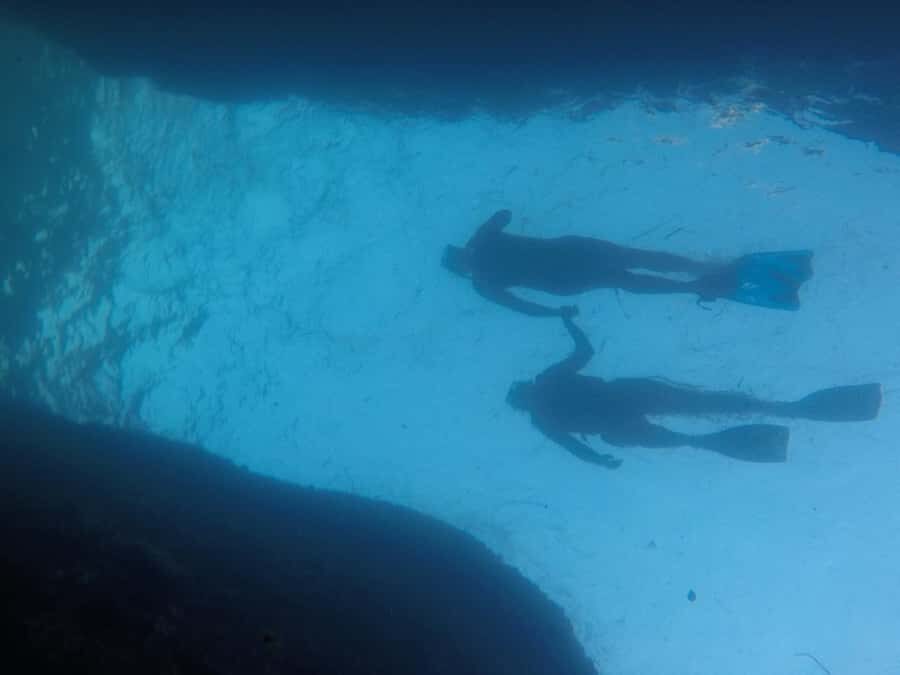 Rio: Snorkel & Swim with Turtles Tour at Tijuca Islands - Stop at Tijuca Islands: snorkeling time that’s built into the day