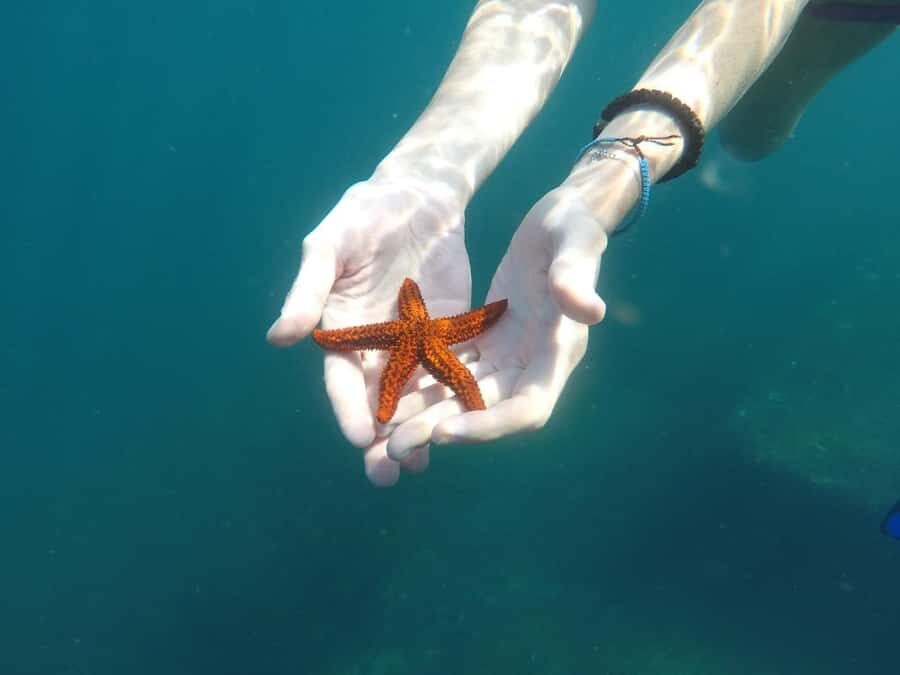 Rio: Snorkel & Swim with Turtles Tour at Tijuca Islands - Landmark views from the boat: Christ the Redeemer without the crowds
