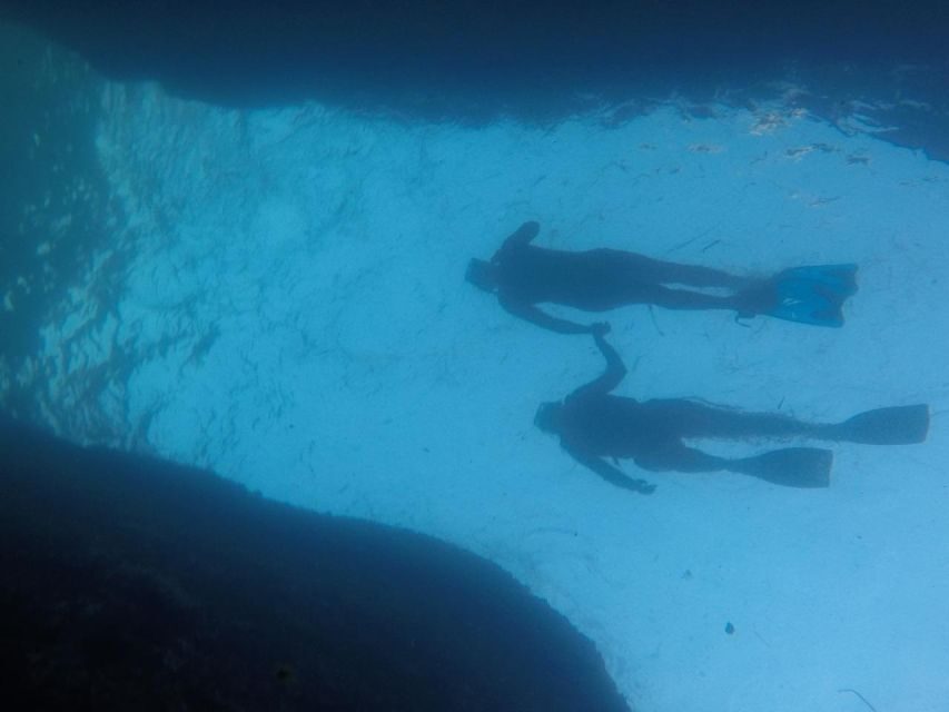 Rio: Snorkel & Swim with Turtles Tour at Tijuca Islands - Price and what $100 really covers