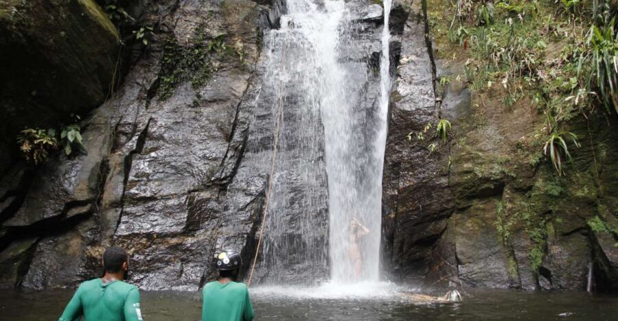 Rio: Tijuca Forest & Horto Waterfalls Circuit Tour - Why This Tijuca Waterfall Circuit Is Worth Your Time