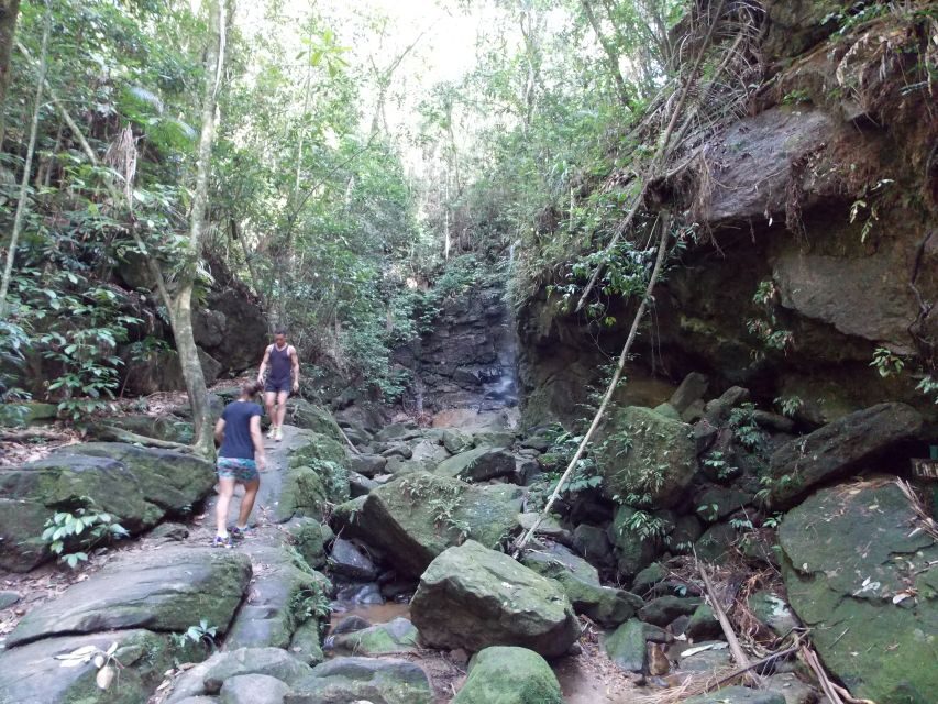 Rio: Tijuca Forest & Horto Waterfalls Circuit Tour - What You’ll Do at Each Waterfall Stop (and What It’s Like)