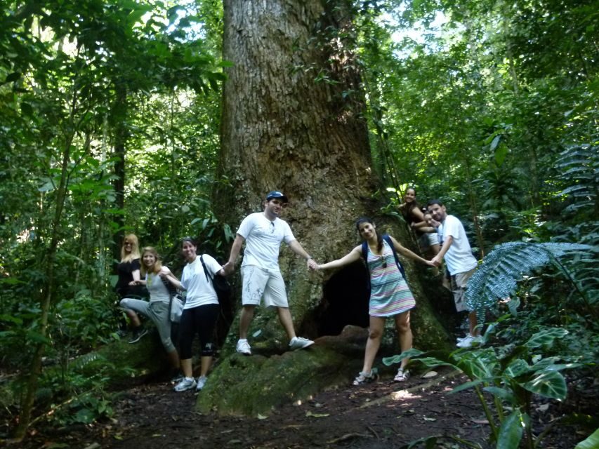 Rio: Tijuca Forest & Horto Waterfalls Circuit Tour - The Value Question: Is $56 a Fair Deal?
