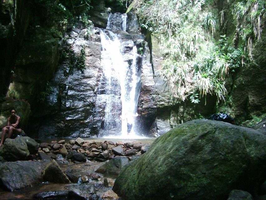 Rio: Tijuca Forest & Horto Waterfalls Circuit Tour - Getting There and Back: Pickup, Drop-Off, and Where You End Up