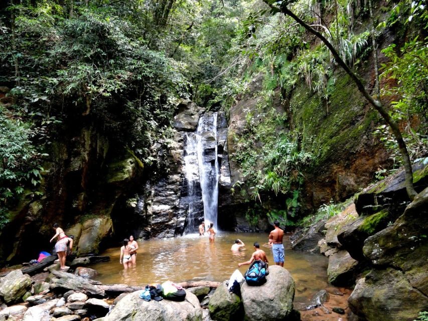 Rio: Tijuca Forest & Horto Waterfalls Circuit Tour - Should You Book the Tijuca Waterfalls Circuit?