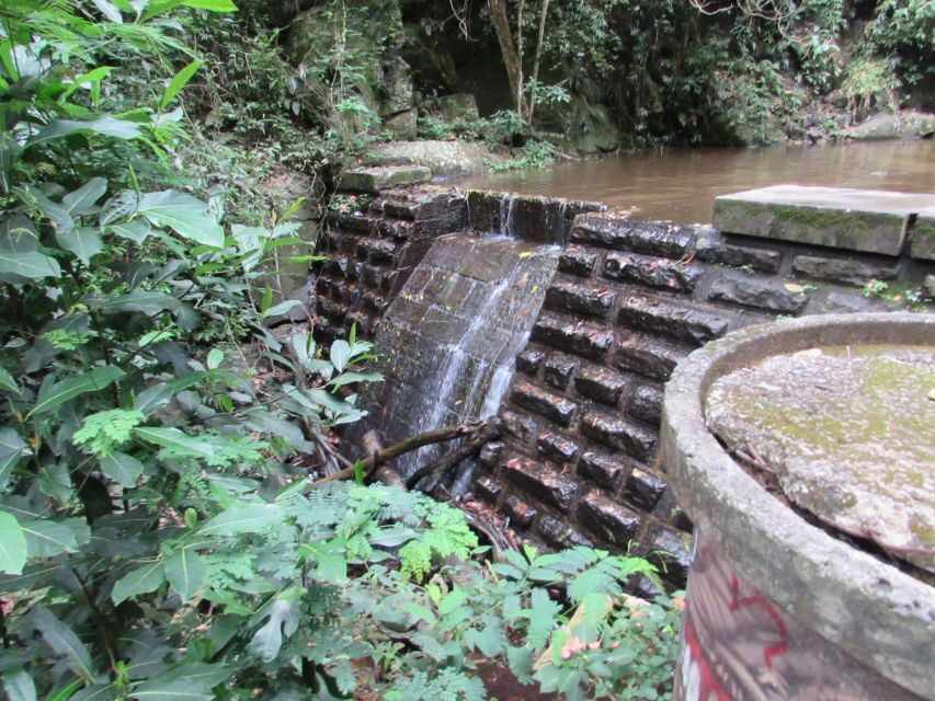 Rio: Tijuca Forest & Horto Waterfalls Circuit Tour - The 4-Hour Flow: How the Hike Actually Plays Out