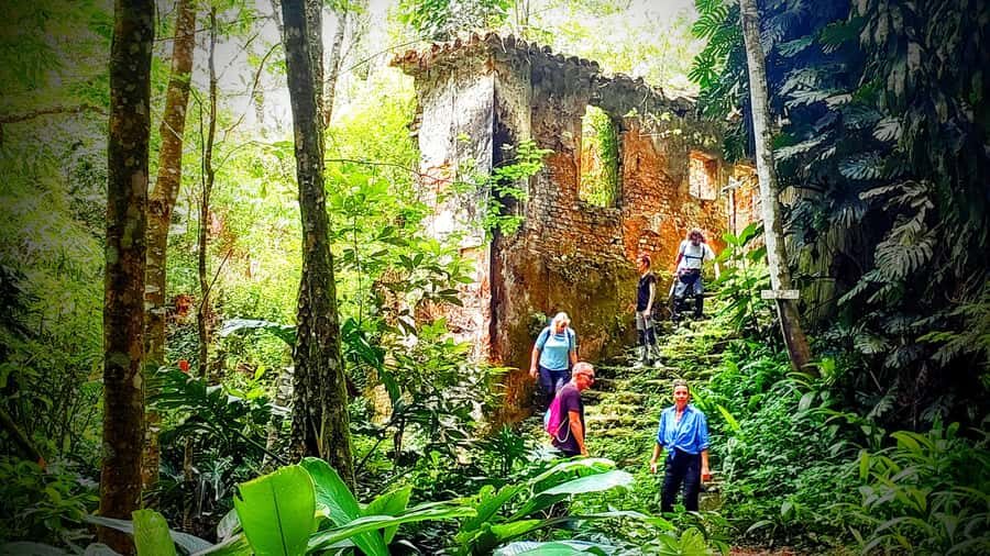 Rio: Tijuca Forest Small Group Hike to Caves and Waterfalls - Tijuca Forest feels like Rio’s backyard, not a far trip