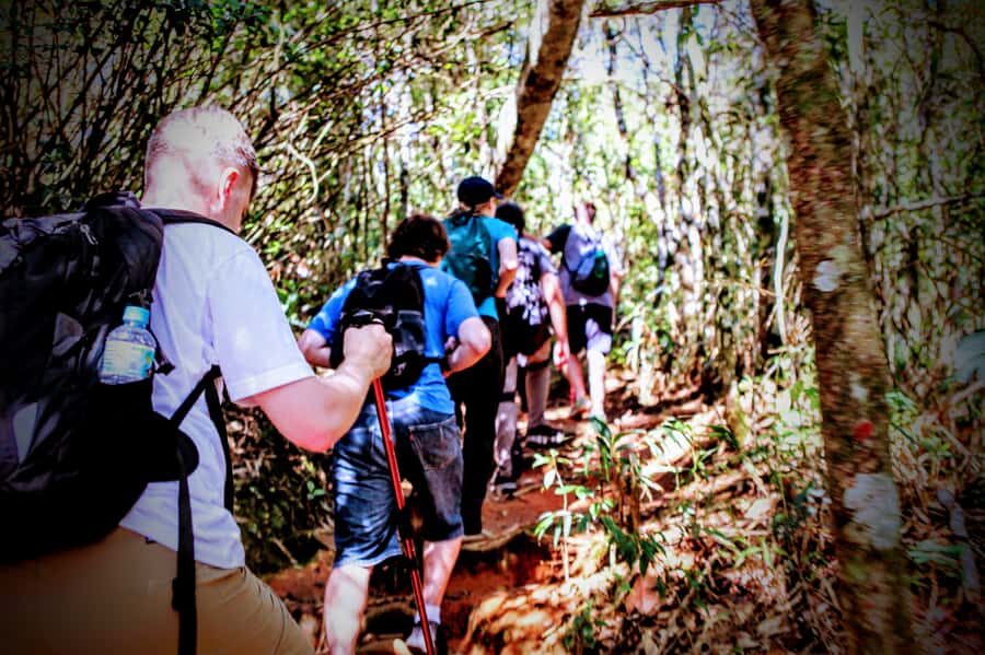 Rio: Tijuca Forest Small Group Hike to Caves and Waterfalls - Morcego’s Grotto (Bat Cave): the largest gneiss cave in Brazil