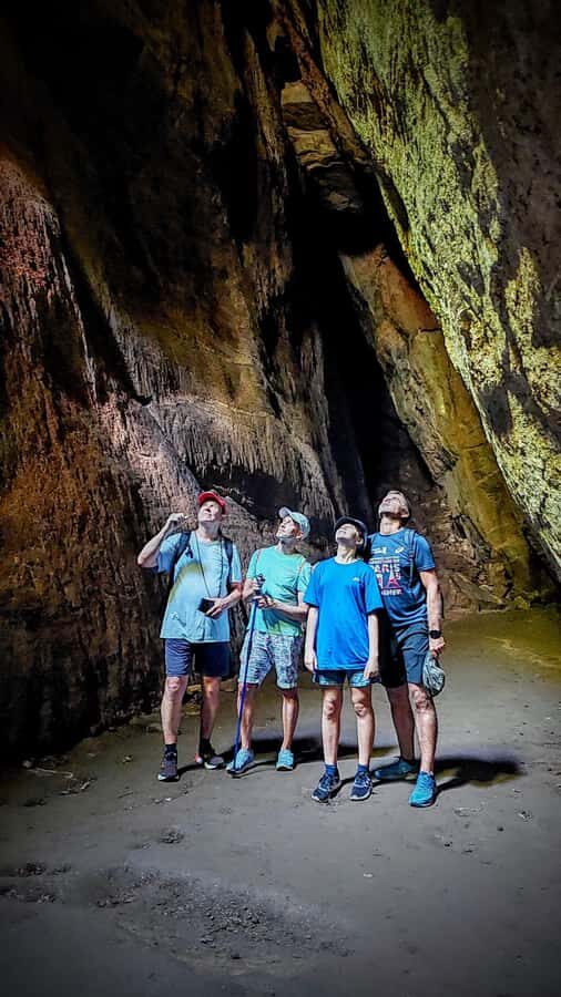 Rio: Tijuca Forest Small Group Hike to Caves and Waterfalls - Getting there right: South Zone hotel pickup and a realistic pace