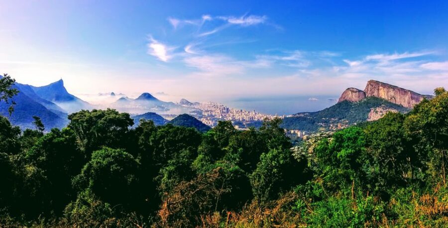 Rio: Tijuca National Park Small-Group Hike to Pedra Bonita - What you learn on the trail (and why it changes the walk)