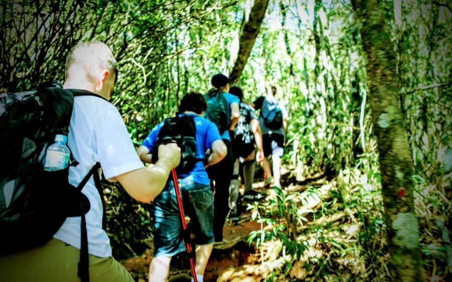 Rio: Tijuca National Park Small-Group Hike to Pedra Bonita - Pacing and fitness: the real rules of doing this hike comfortably