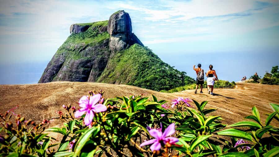 Rio: Tijuca National Park Small-Group Hike to Pedra Bonita - Price and value: what you get for about $63