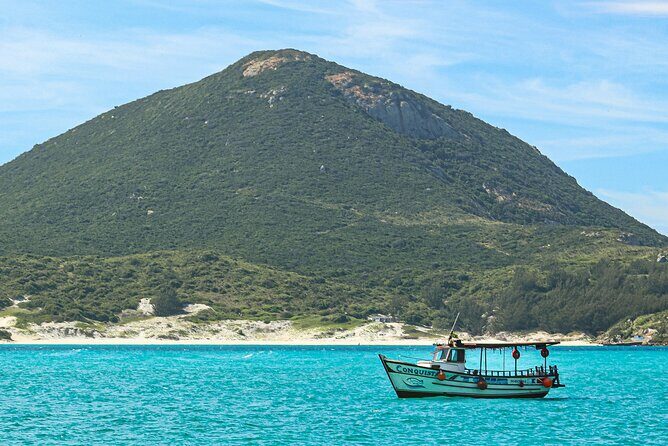 Rio's Best Dive Experience All Inclusive Scuba Diving Package! - Key Things I’d Bet on Before You Go
