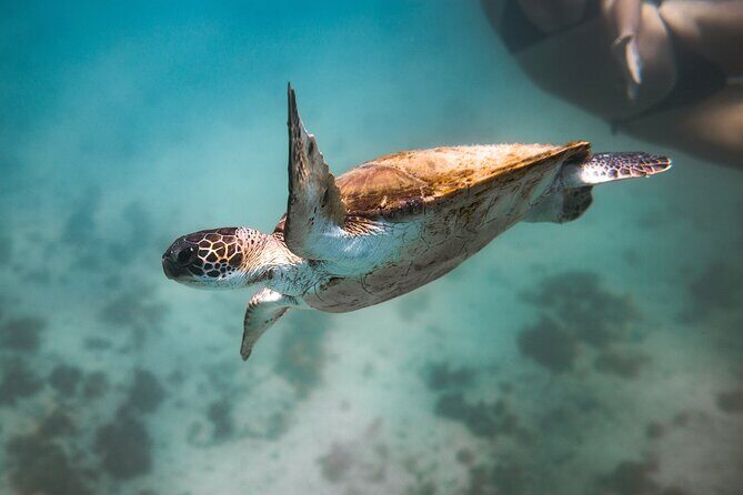 Rio's Best Dive Experience All Inclusive Scuba Diving Package! - The Boat Trip Out to the Best Spots: Scenery Plus Real-Time Logistics