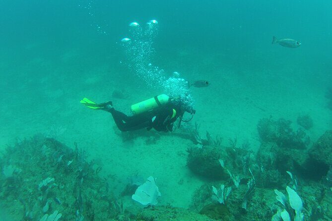 Rio's Best Dive Experience All Inclusive Scuba Diving Package! - Price Breakdown: What You’re Paying for and the Extras to Budget