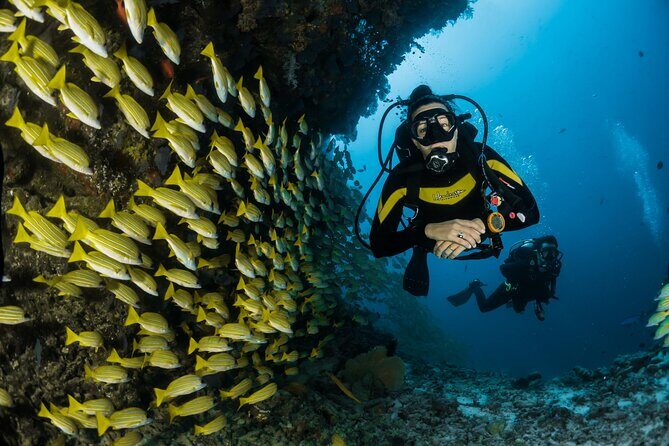 Rio's Best Dive Experience All Inclusive Scuba Diving Package! - The 5:30 am Start: Long Ride, Clear Flow, and What to Expect