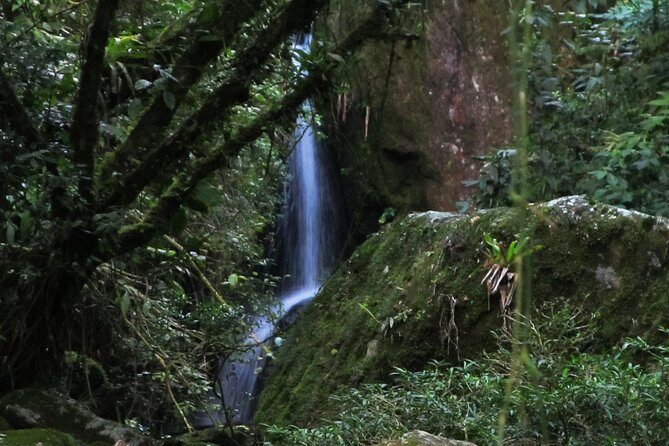 Serra dos Orgaos National Park – EcoTour - Inside the park: what you see at the headquarters area
