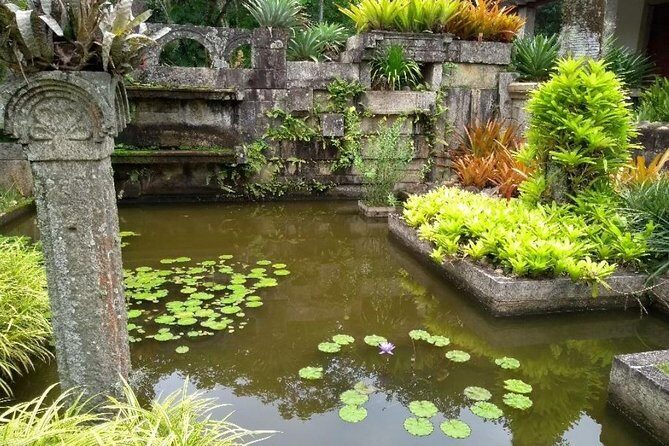 Sitio Roberto Burle Marx Guided Tour Ticket and Transfer - How the Guiding Works: English Help Depends on Your Group Guide