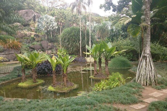 Sitio Roberto Burle Marx Guided Tour Ticket and Transfer - Who Should Book This Tour (and Who Might Skip It)