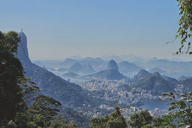 Small-Group Tijuca Forest Guided Tour - Quick Hits Before You Go