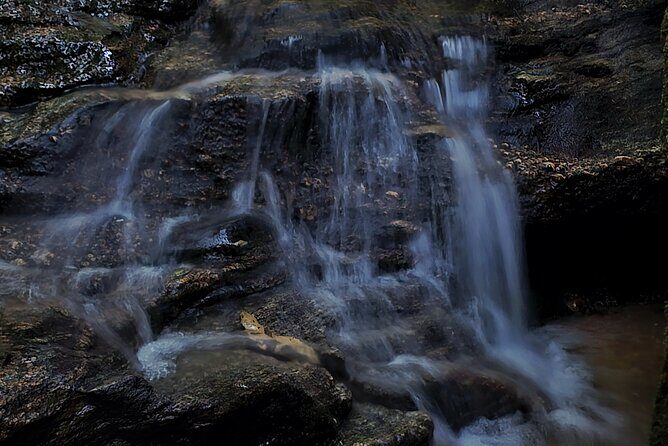 Small-Group Tijuca Forest Guided Tour - Six Waterfalls, Three Easy Hikes, One Moderate Effort