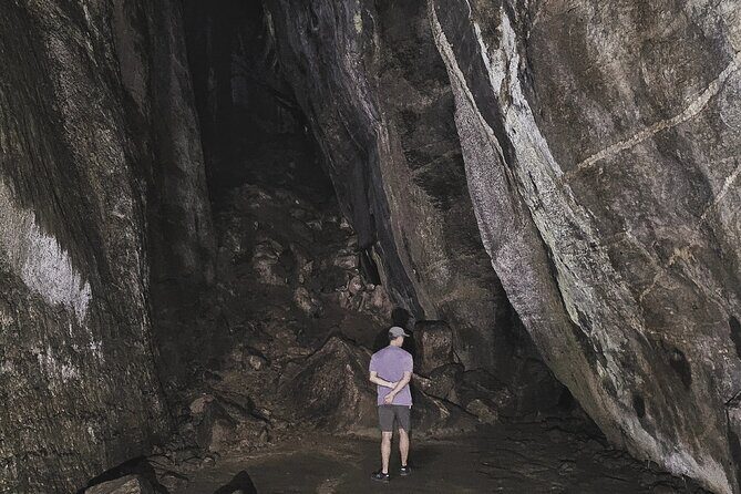 Small-Group Tijuca Forest Guided Tour - Wildlife You Might Spot (And What to Do When You Do)