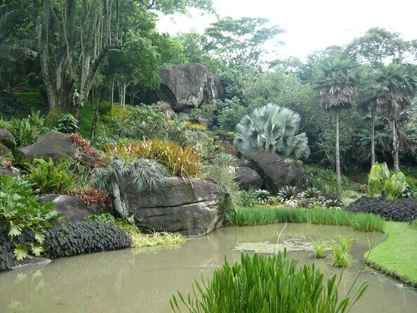The landscaper Burle Marx and its site - cultural heritage - Key things to know before you go