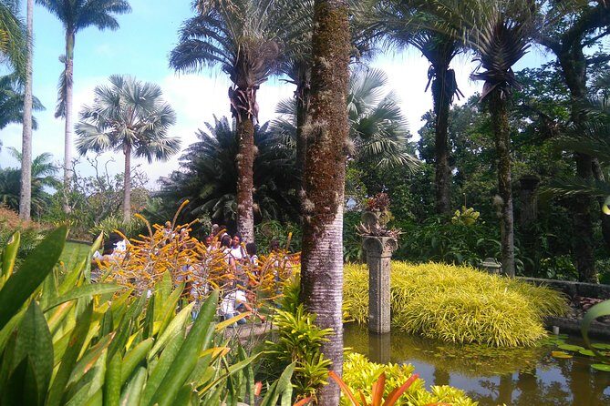The landscaper Burle Marx and its site - cultural heritage - Entering the Roberto Burle Marx Site: where art meets ecology