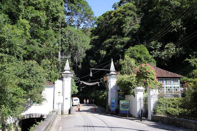 Tijuca Forest + Botanical Garden + Lage Park - by Alan Denis - Vista Chinesa and Cascatinha Taunay: two quick nature payoffs