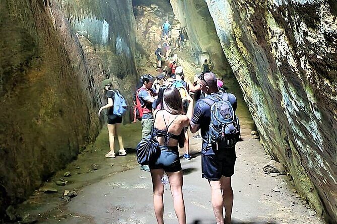 Tijuca Forest Caves and Falls Tour in Rio de Janeiro - Key highlights worth planning for