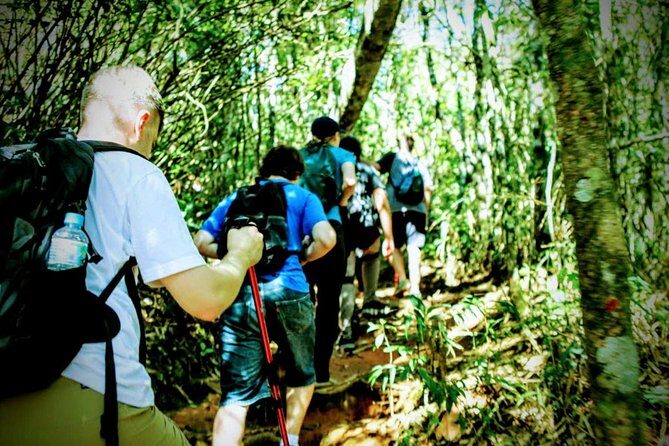 Tijuca Forest Challenge Full-Day Hike (Small-Group or Private) - The fitness reality check (848 m gain is not a joke)
