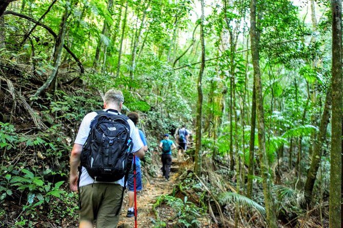 Tijuca Forest Half-Day Hike (Small Group or Private) - Descending with purpose: Mirante das canoas and the feel of the route