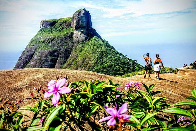 Tijuca Forest Half-Day Hike (Small Group or Private) - Starting early: pickup and the smooth drive into the park