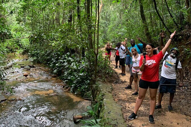 Tijuca Forest Hike - Waterfalls & Caves, Nature & Wild Life! - Taunay Waterfall and Floresta da Tijuca: the rainforest entry you’ll remember