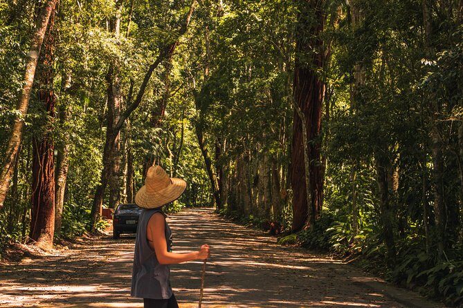 Tijuca Forest Trail - specialized guide and photos - Cascatinha viewpoint: where the forest view makes the climb worth it