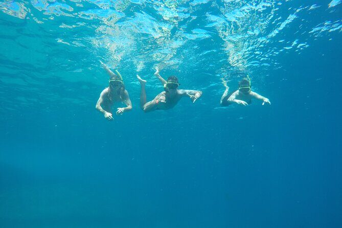 Tijuca Islands Snorkeling & Whale Watching Boat Tour from Rio - Key things that make this tour worth your morning