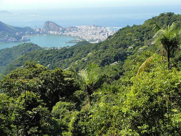 Tijuca National Park and all its wonders - Key highlights worth waking up for