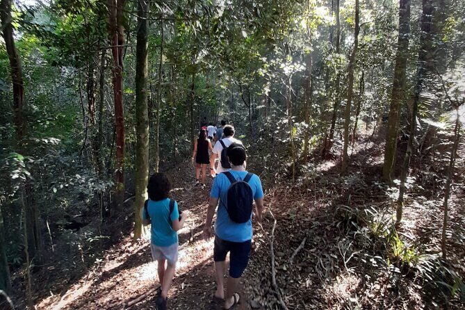 Tijuca National Park and all its wonders - Tijuca National Park: Rio’s green reset in 39.58 km²
