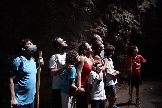 Tijuca National Park and all its wonders - More waterfalls plus real bathing time
