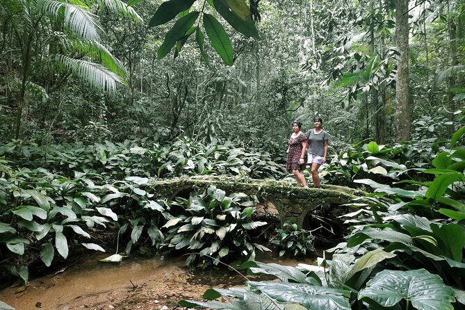 Tijuca National Park and all its wonders - Getting the most from the 4–5 hour itinerary