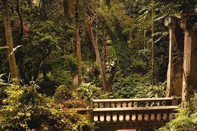 Tijuca National Park and Botanic Garden Guided Tour & Transfer - Vista Chinesa and Rio’s famous viewpoints in short bursts