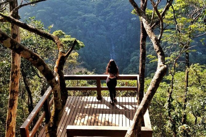 Tijuca National Park and Botanic Garden Guided Tour & Transfer - Parque Nacional da Tijuca: where the “urban rainforest” becomes real