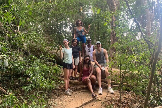 Tijuca Rainforest Waterfalls, Wildlife, Caves and Rio Scenic View - Getting into Tijuca National Park without losing the plot