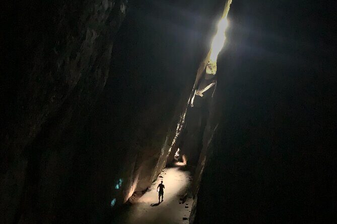 Tijuca Rainforest Waterfalls, Wildlife, Caves and Rio Scenic View - Price and value: why $88 can work for a morning tour
