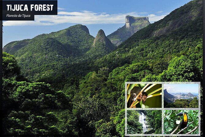 Tijuca's National Park - Eco Hiking Tour - Hotel pickup into the rainforest day: how this tour starts
