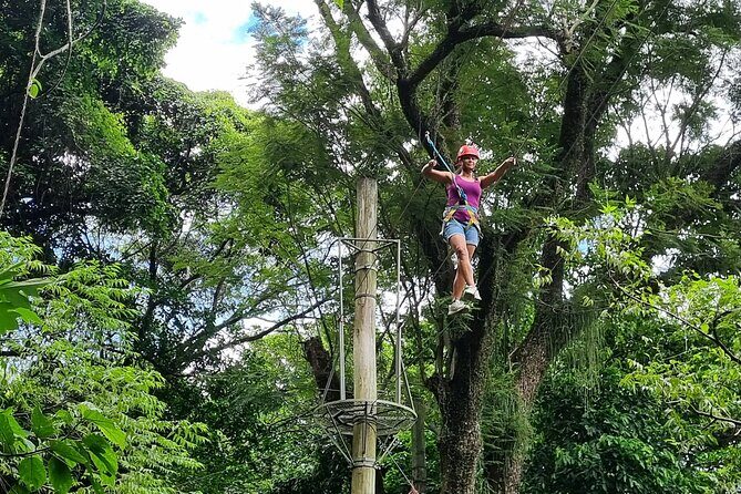 Zip Lining and Canopy Tree Tour in Rio de Janeiro - Group size, timing, and what to bring so the day feels easy
