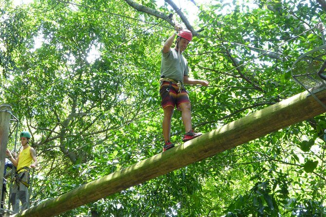Zip Lining and Canopy Tree Tour in Rio de Janeiro - Price and value: what $81.20 really buys you (plus the $15 fee)