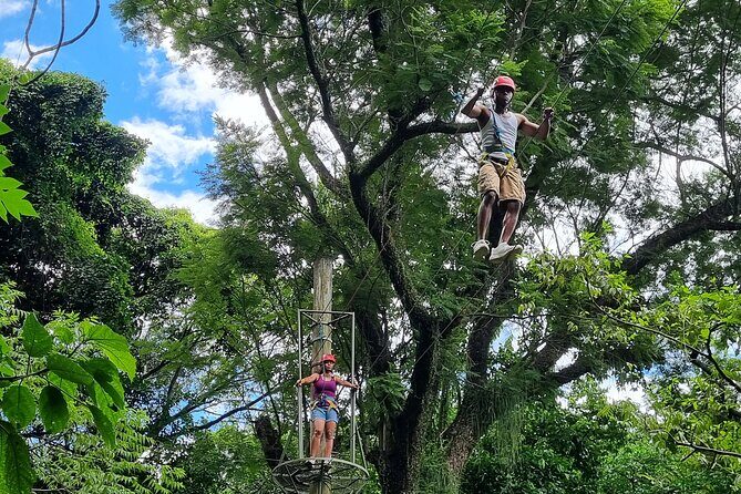 Zip Lining and Canopy Tree Tour in Rio de Janeiro - Who should book this canopy + zip line tour in Rio?