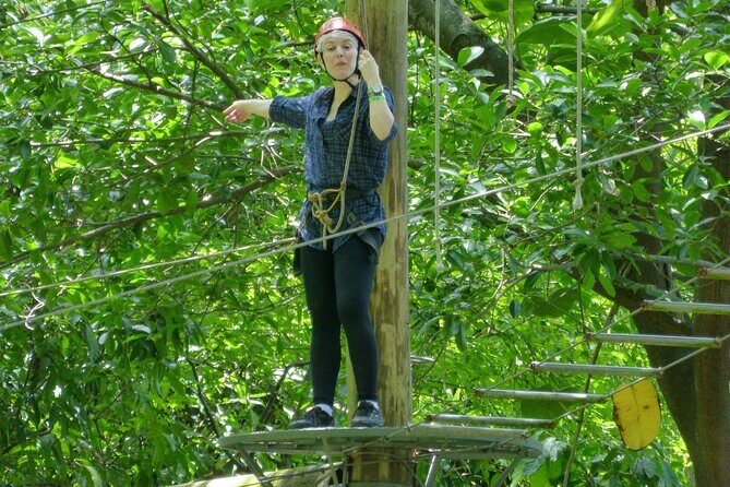 Zip Lining and Canopy Tree Tour in Rio de Janeiro - Should you book it? My take on the decision